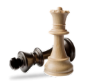 Победоносные шахматисты