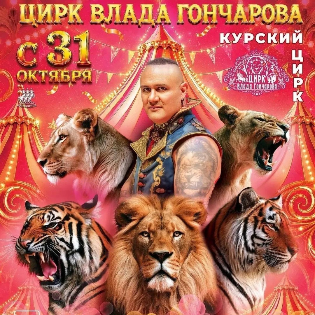 Хотите в цирк? Профсоюз предлагает специальные условия для коллективных заявок