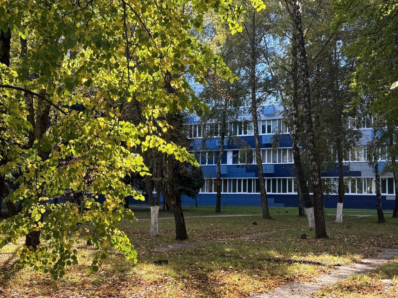 Осень в ЮЗГУ: тепло, солнечный свет и немного романтики