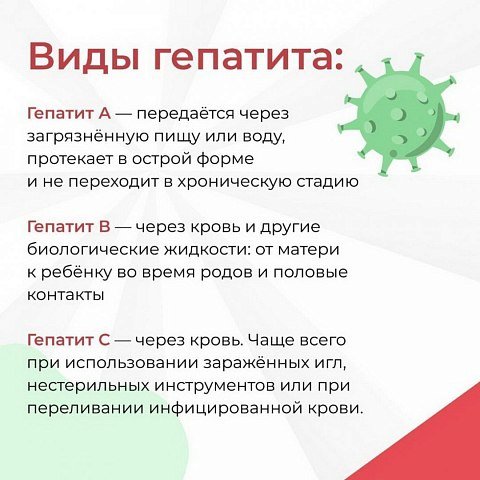 Виды гепатита Виды гепатита