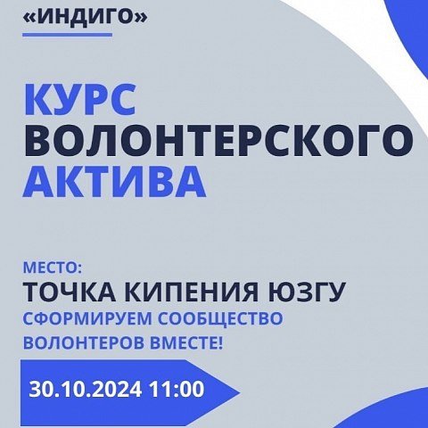 Курс волонтерского актива "Индиго"