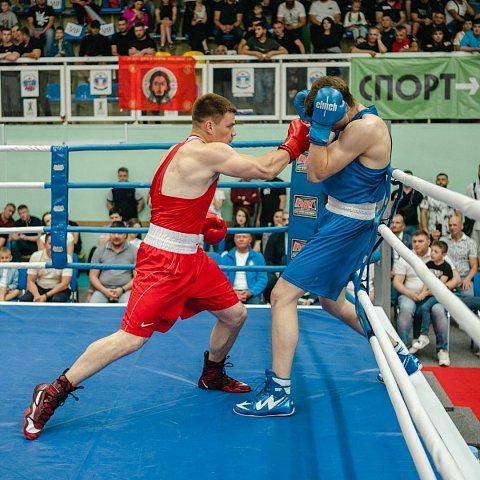 В ЮЗГУ прошел региональный турнир по боксу 
