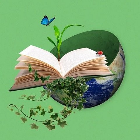 День экологического образования 