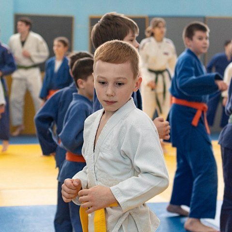 Готовим будущих чемпионов Готовим будущих чемпионов