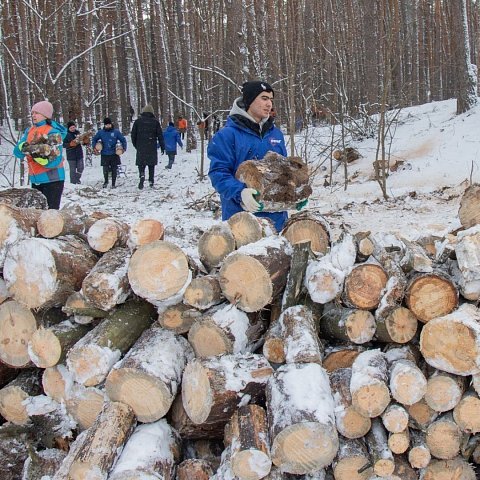 Волонтеры ЮЗГУ приняли участие в акции по заготовке дров для военнослужащих СВО