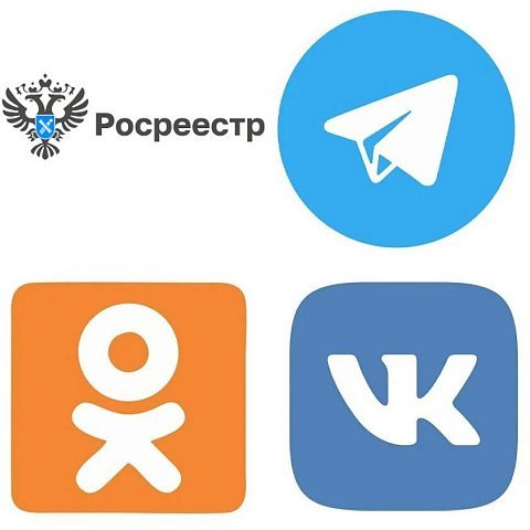 Социальные сети Росреестра по Курской области