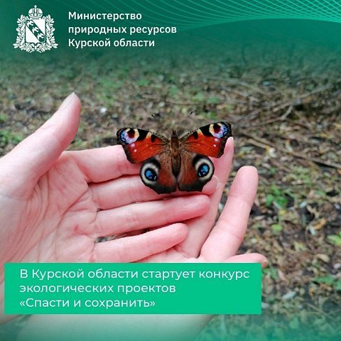 Стартовал областной конкурс экологических проектов «Спасти и сохранить»