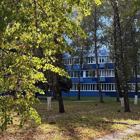 Осень в ЮЗГУ: тепло, солнечный свет и немного романтики