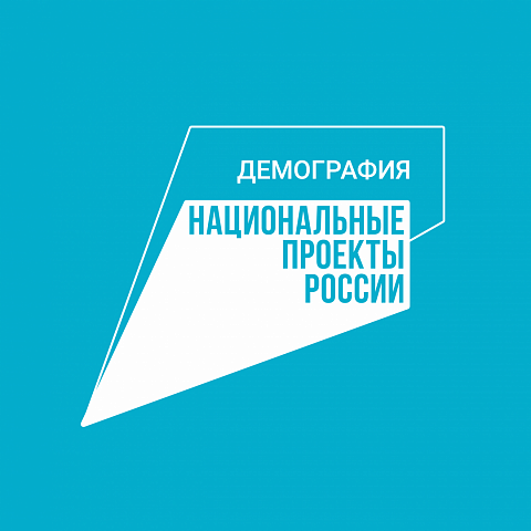 Реализация проекта «Демография» в Курской области