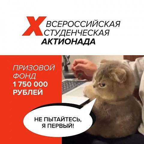 X Всероссийская студенческая Актионада