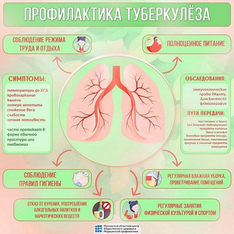 Туберкулез - профилактика