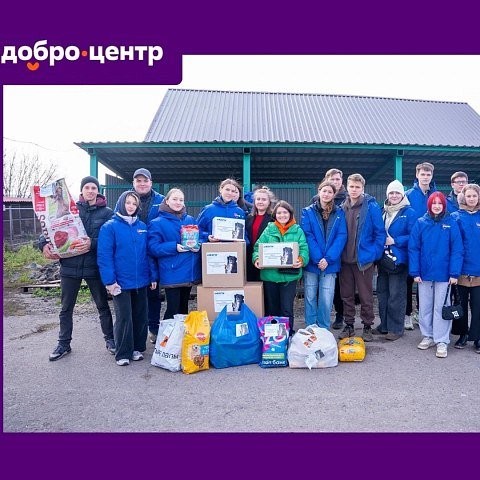 «Помоги маленьким хвостикам»: в ЮЗГУ пройдёт акция в поддержку животных
