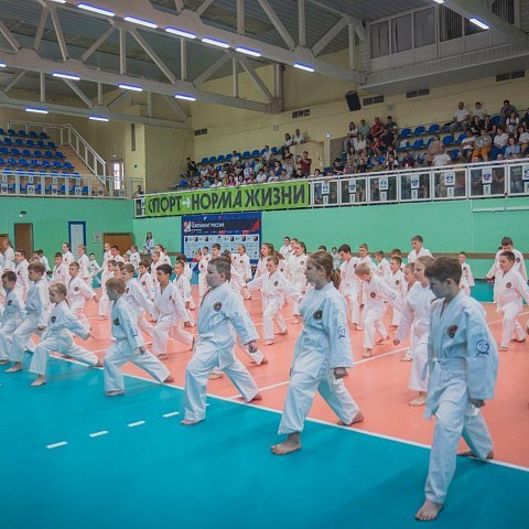 В ЮЗГУ состоялся экзамен на пояса каратэ среди спортсменов Центра «Поколение 3:0»